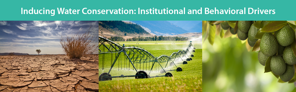 Inducing Water Conservation in Agriculture: Institutional and Behavioral Drivers