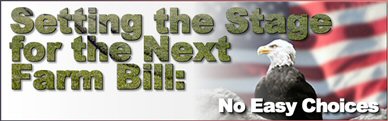 Setting the Stage for the Next Farm Bill: No Easy Choices