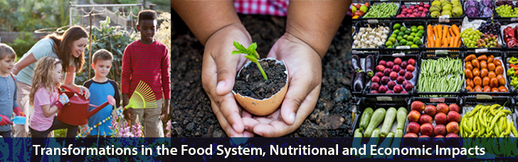 Transformations in the Food System, Nutritional and Economic Impacts