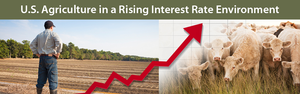 Will Rising Interest Rates Lead to Intensifying Risks for Agriculture?