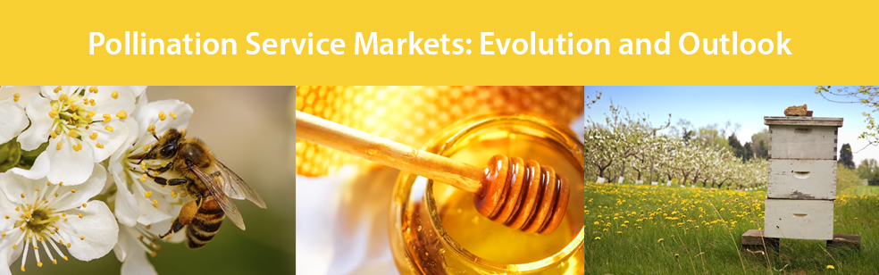 Pollination Service Markets: Evolution and Outlook