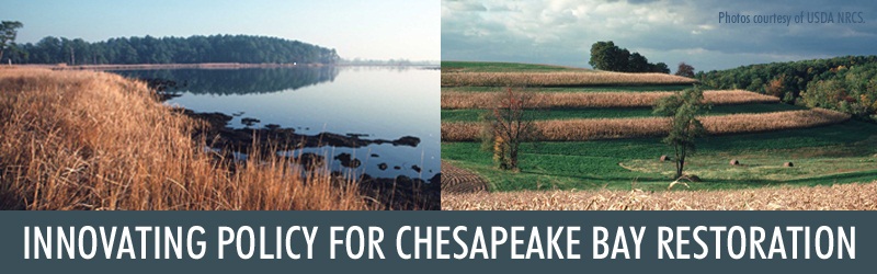 Innovating Policy for Chesapeake Bay Restoration