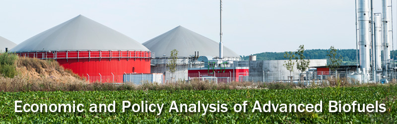 Economic and Policy Analysis of Advanced Biofuels