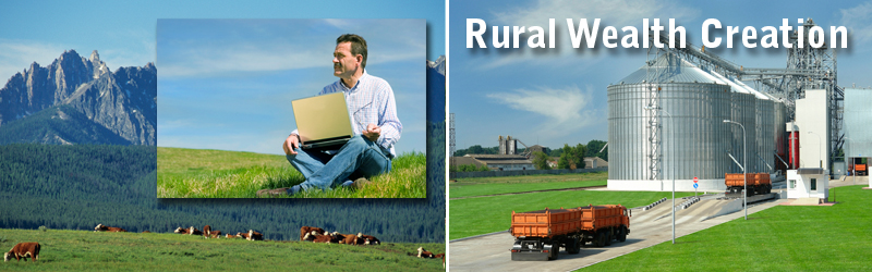 Rural Wealth Creation