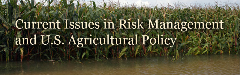Current Issues in Risk Management and U.S. Agricultural Policy