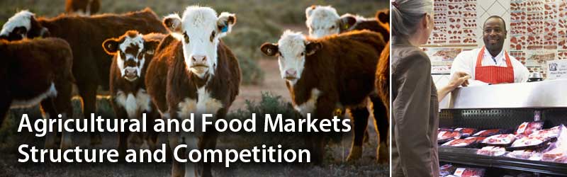 Agricultural and Food Markets Structure and Competition