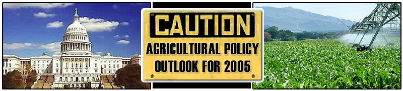 Agricultural Policy Outlook for 2005