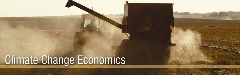 Climate Change Economics