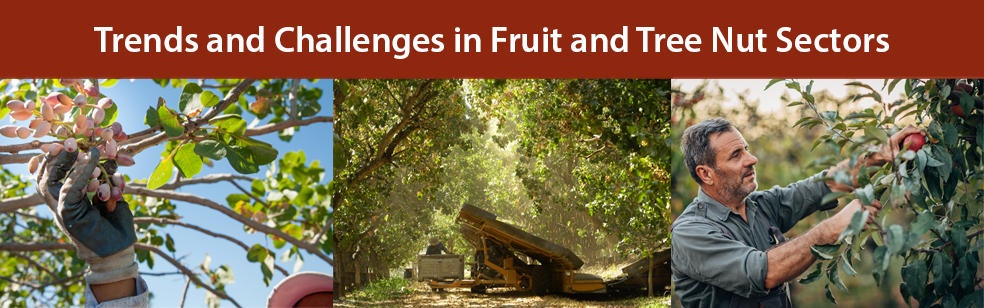 Trends and Challenges in Fruit and Tree Nut Sectors