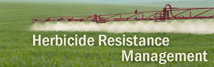 Herbicide Resistance Management