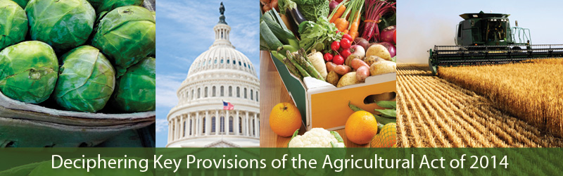 Deciphering Key Provisions of the Agricultural Act of 2014