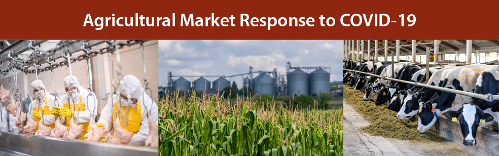 Agricultural Market Response to COVID-19