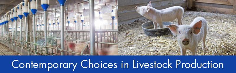 Contemporary Choices in Livestock Production