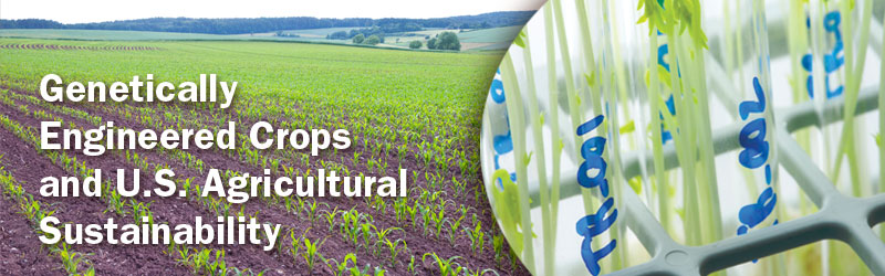 Genetically Engineered Crops and U.S. Agricultural Sustainability